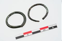 Foto von Bronzering (NHMW-PRAE-024296)